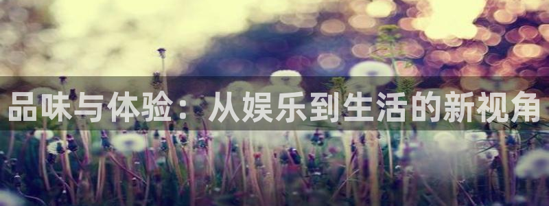 新航娱乐：品味与体验：从娱乐到生活的新视角