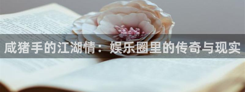 新航娱乐注册：咸猪手的江湖情：娱乐圈里的传奇与现实