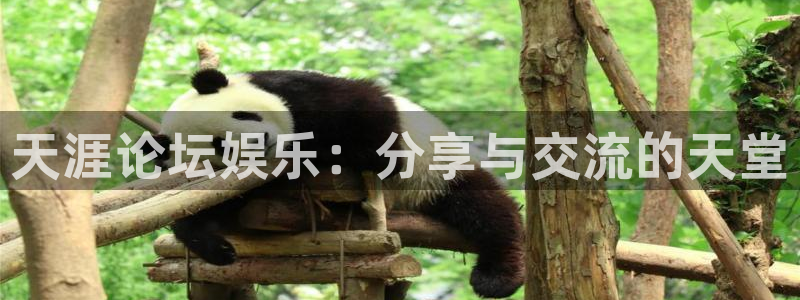 新航娱乐：天涯论坛娱乐：分享与交流的天堂