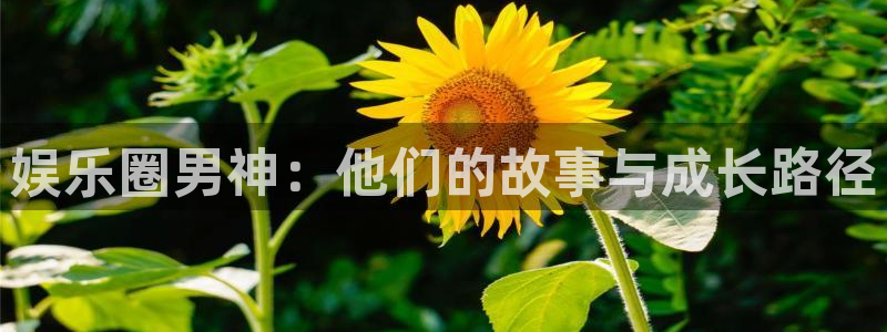 新航娱乐登录地址：娱乐圈男神：他们的故事与成长路径