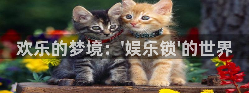 新航娱乐官网登录入口：欢乐的梦境：\'娱乐锁\'的世界