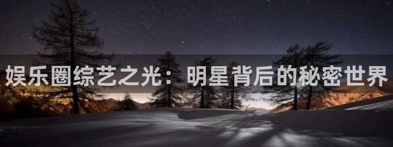 新航娱乐：娱乐圈综艺之光：明星背后的秘密世界