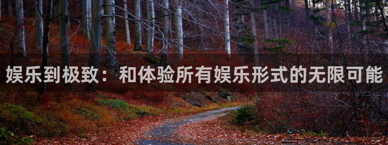 新航娱乐官网：娱乐到极致：和体验所有娱乐形式的无限可能