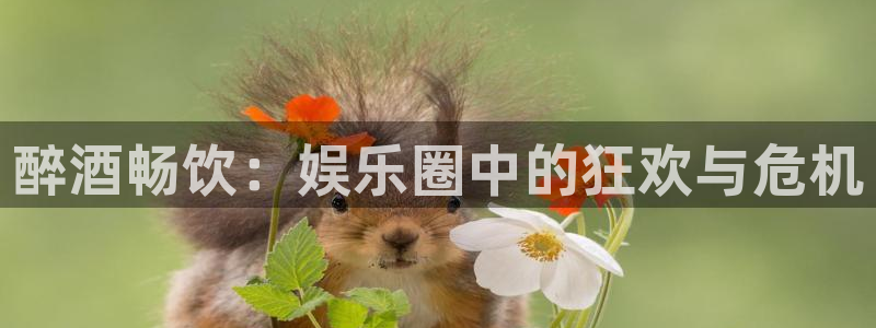 新航娱乐：醉酒畅饮：娱乐圈中的狂欢与危机